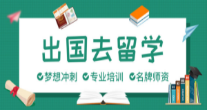 全國十大英國高端留學(xué)咨詢-定制申請服務(wù)機(jī)構(gòu)排行榜一覽