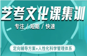 十大合肥2024屆高考藝考生文化課輔導(dǎo)學(xué)校榜單一覽