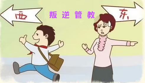 四川成都十大青少年軍事化叛逆特訓(xùn)學(xué)校排名精選一覽