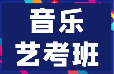 天津精選10大民族樂器藝考集訓(xùn)機(jī)構(gòu)名單推薦一覽