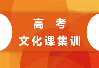 廣東廣州top10高三藝考文化課集訓(xùn)機(jī)構(gòu)名單匯總