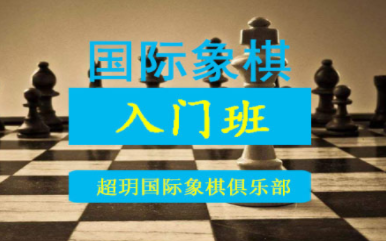 國內(nèi)國際象棋入門課程排名前十培訓機構(gòu)精選一覽