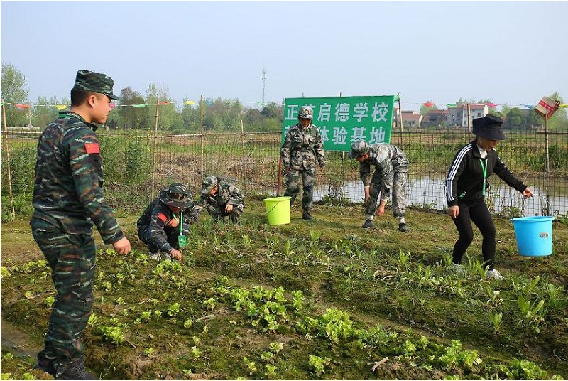 微信截圖_20231008113826.png