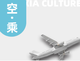 甄選十大浙江空乘藝考全程培訓(xùn)機(jī)構(gòu)排名公布一覽