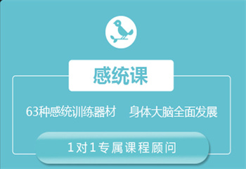 昆明感統(tǒng)訓(xùn)練班