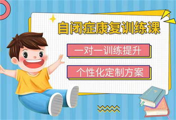 云南自閉癥（孤獨(dú)癥）干預(yù)課程