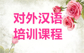 國(guó)內(nèi)對(duì)外漢語(yǔ)精講課程十大培訓(xùn)機(jī)構(gòu)排名甄選一覽