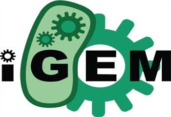 武漢8大iGEM國際競(jìng)賽提升課程輔導(dǎo)機(jī)構(gòu)排名一覽