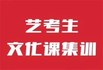 TOP10廣東全日制高三藝考文化課集訓(xùn)輔導(dǎo)機(jī)構(gòu)榜單更新一覽