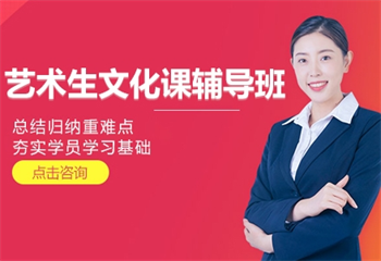 貴陽藝術(shù)生文化課輔導(dǎo)班