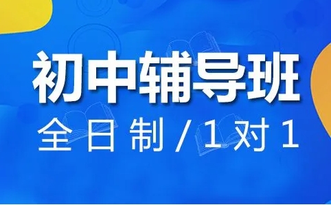 北京海淀區(qū)10大新初二暑假一對(duì)一補(bǔ)習(xí)輔導(dǎo)機(jī)構(gòu)排名榜一覽