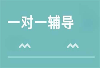 河北邢臺十大高考沖刺一對一輔導(dǎo)班名單甄選