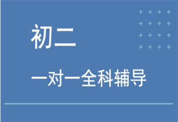 深圳福田區(qū)十大全日制初二1對1文化課沖刺班名單榜一覽
