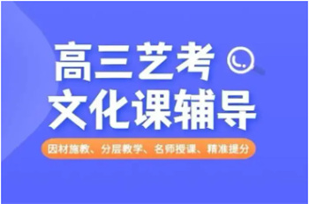高三藝考體考生文化課沖刺課程